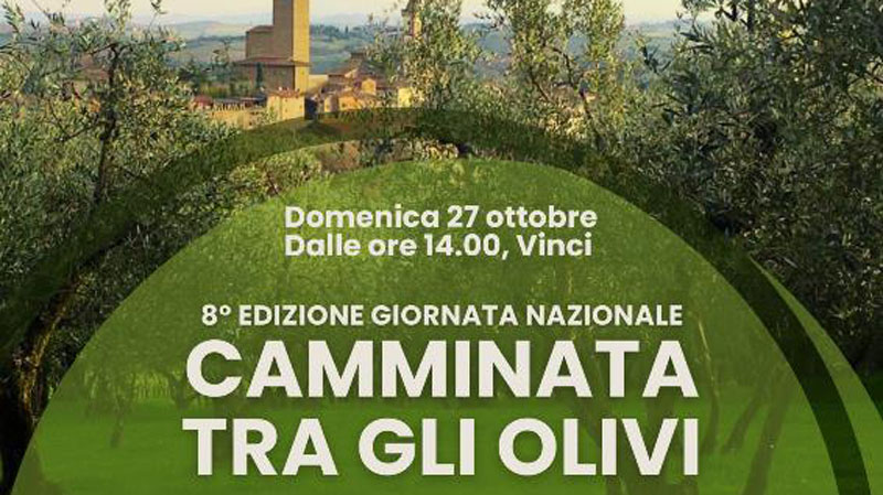 A Vinci una “Camminata tra gli olivi”, per assaggiare l’olio novo